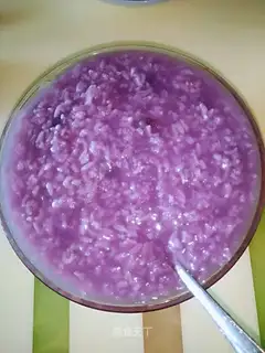 Potato congee