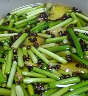 Garlic