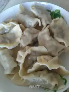 The dumplings