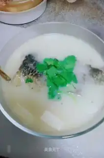 Tofu soup