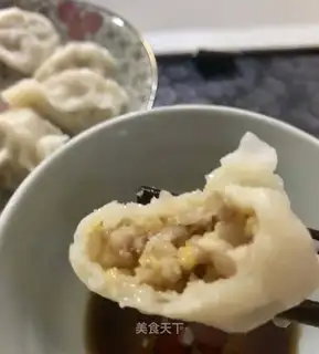Sour pork dumplings