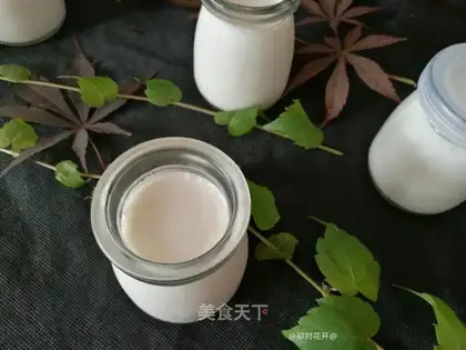 Homemade yogurt