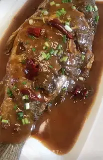 Red-burned mackerel