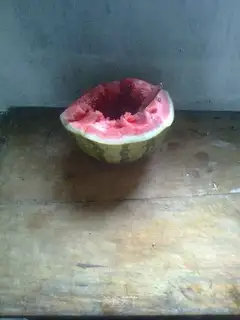 Watermelon dried rice
