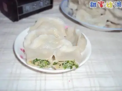 Leek and pork dumplings