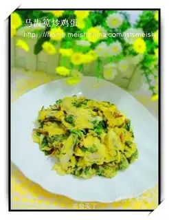 Scrambled eggs with purslane