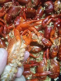 Favorite lobster
