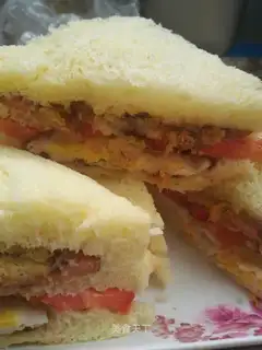 Quick-hand toast sandwich