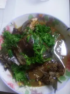 Red-burned mackerel