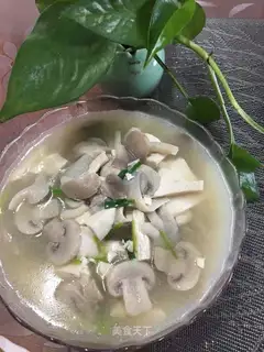 Tofu