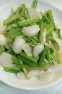 The Celery Lily