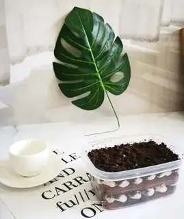 Oliver's cream box cake