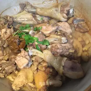 Boy chicken