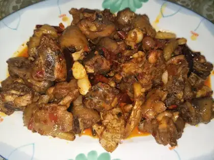 A chicken with red fever