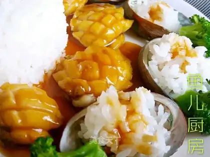 Abalone fish