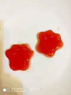Watermelon cat and jelly