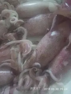 Burning little squid