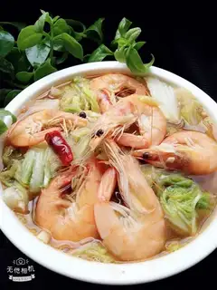 The cabbage shrimp