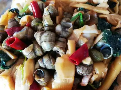 I'm going to make a snail