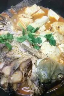 Squirty tofu