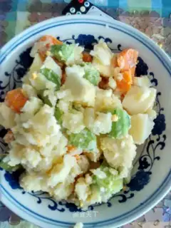 Potato carrot apple cucumber salad