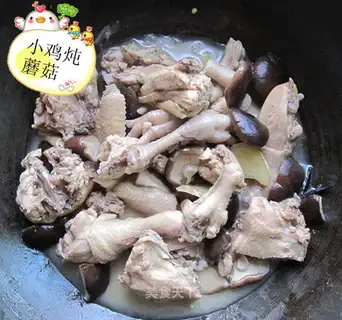 chicken stewed mushrooms