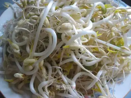 Homemade mung bean sprouts