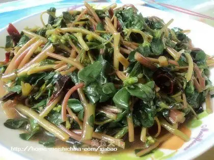 Garlic purslane