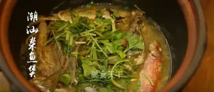 Dynamite fish
