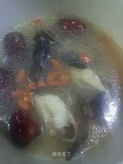 Red-tree plaster soup