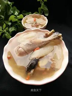 The mackerel