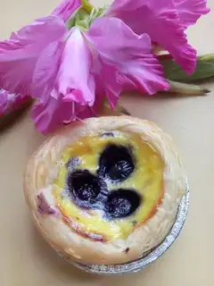 Blueberry maggots