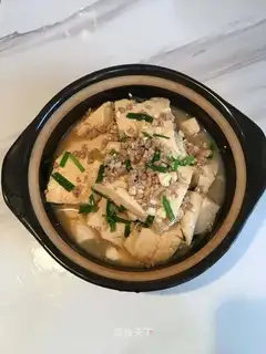 Meat tofu