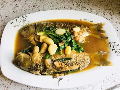 Red-burned mackerel