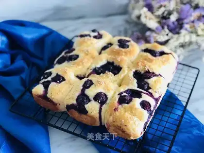 Blueberry bag