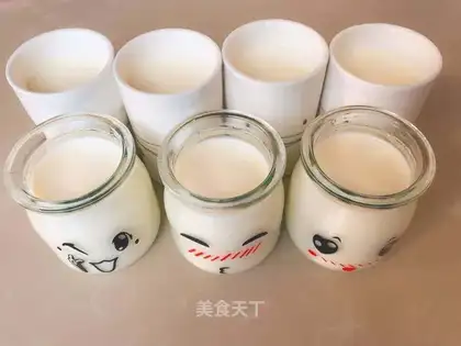 Homemade yogurt