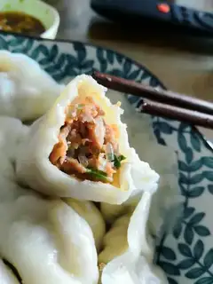 Pork dumplings