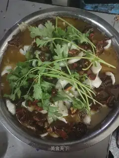 A live fish