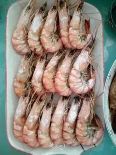 Shrimp