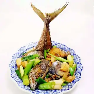 Ponyfish
