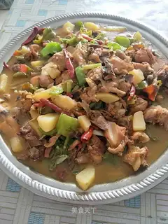 Xinjiang chicken