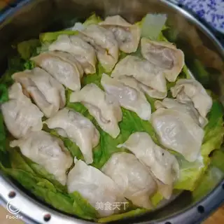 Meat dumplings