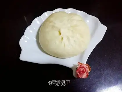 Big meat bun