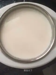 Yogurt