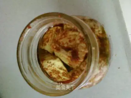 Homemade moldy tofu