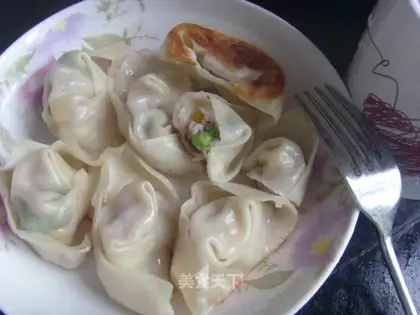 fried dumpling