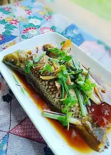 Steamed Tsing Yi Tsai