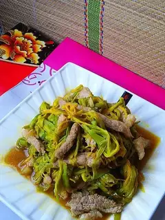 Yellow pork willow