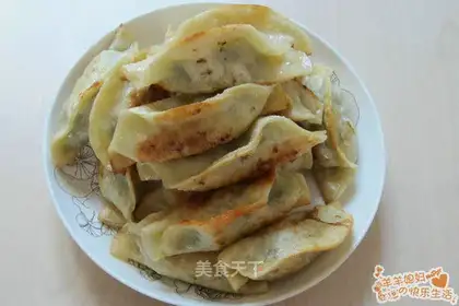 fried dumpling