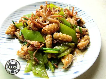 Squid
